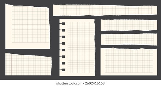 Paper scraps. Torn pieces of paper, with torn edges for notes, realistic torn pieces of blank note pages. Vector illustration isolated