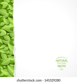 Paper sheet and  green leaves with space for text