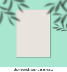 Paper sheet template vector background and leaves shadow. Presentation invitation card mock up, cover and poster page for business website design. banner social media advertising.