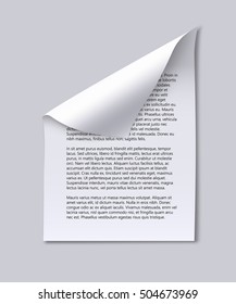 Paper sheet with text and page curl. Note, information or office document concept. Paper with shadow. Vector illustration.