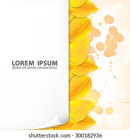Paper sheet with yellow leaves. Autumn background. EPS10 vector