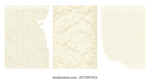 Paper sheets from a notepad. Set of realistic pages with texture. Collection of sheets with lines and cells.