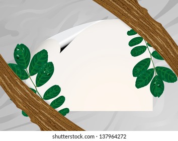 Paper sign with green leaves vector background