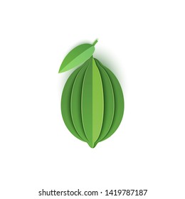 The paper is sliced with whole lime citrus, an excellent design for any purpose. Summer, sweet green lemon juicy food. Vector card 3d illustration. Tropical papercraft cut layers fruit