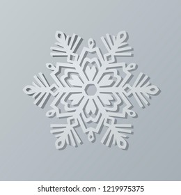 Paper  snowflake vector illustration