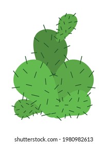 Papierspinenkaktus auf Hintergrund