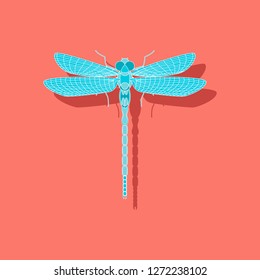 paper sticker on background of dragonfly