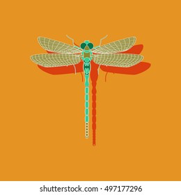 paper sticker on background of dragonfly