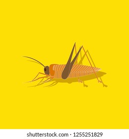 paper sticker on background of grasshopper