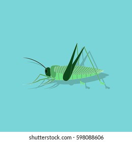 paper sticker on background of grasshopper