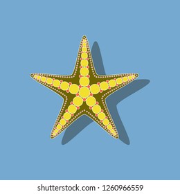 paper sticker on background of starfish