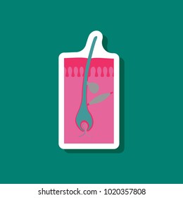 paper sticker on stylish background hair follicles