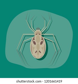 paper sticker on stylish background halloween spider