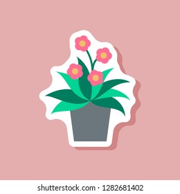 paper sticker on stylish background Chrysanthemums in a pot