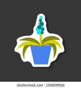 paper sticker on stylish background hyacinth