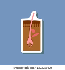 paper sticker on stylish background hair follicles