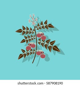 paper sticker on stylish background tomato plant