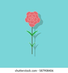 paper sticker on stylish background plant Dianthus