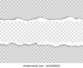 Paper strip with with space for text isolated on transparent background. Vector realistic horizontal torn paper edges, grunge ripped texture or broken page pattern.
