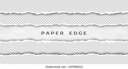 Paper tear border. Set of torn horizontal seamless paper stripes. Paper texture with damaged edge isolated on transparent background. Vector illustration