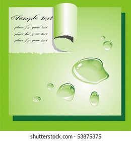 Paper torn from drops with a place for your text