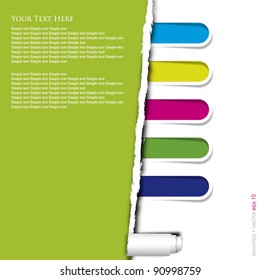 Paper torn with index on white background vector format