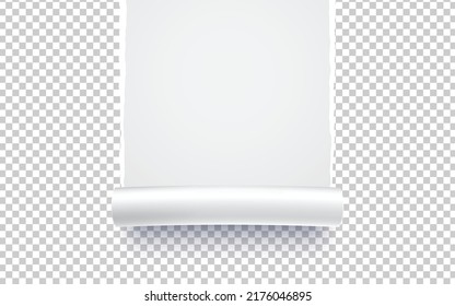 Paper torn. Paper Ripped with realistic shadow transparency. Vector object.