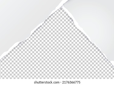 Paper torn. Paper Ripped with realistic shadow transparency. Vector object.