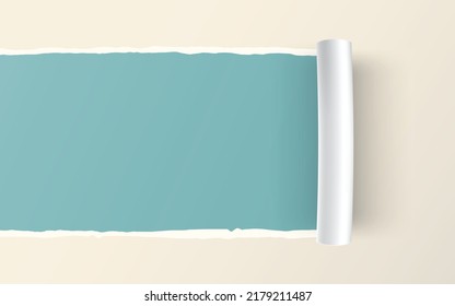 Paper torn. Paper Ripped with realistic shadow transparency. Vector object.