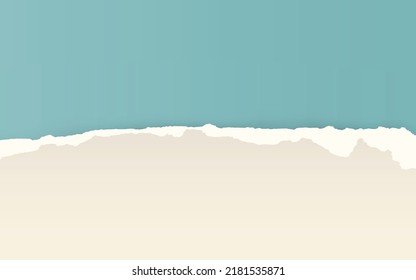 Paper torn. Paper Ripped with realistic shadow transparency. Vector object.