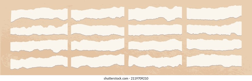 Paper torn strip stroke with cut stuck edges vector illustration. Blank horizontal note craft paper piece shape. Set of white headline band. Calligraphy border, isolated grunge header background