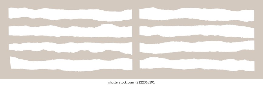 Papierzerrissener Streifenstrich mit Schnittkanten, Vektorgrafik. Leere Form des horizontalen Notenbogens Set mit weißem Schlagzeilen-Band. Kalligraphie-Grenze, einzelne Grunge-Hintergrund