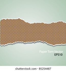 Paper torn vector EPS10 background