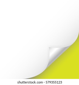 paper, vector