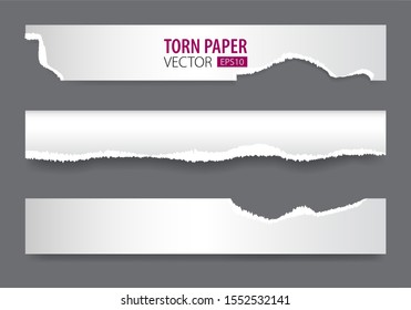 Papers strips with torn edges. Pieces of ripped white paper and soft shadow for web and print
