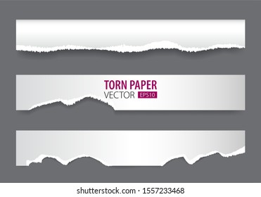 Papers strips with torn edges. Pieces of ripped white paper and soft shadow for web and print
