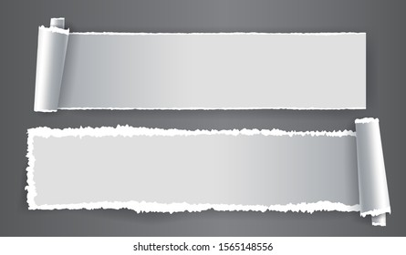Papers strips with torn edges. Pieces of ripped white paper and soft shadow for web and print