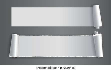 Papers strips with torn edges. Pieces of ripped white paper and soft shadow for web and print