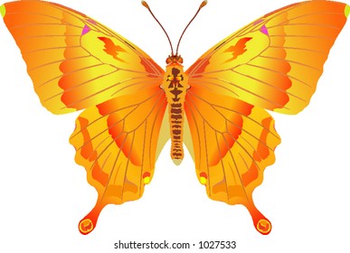 papilio fire fantasy