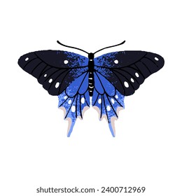 Papilio Maackii, alpine black swallowtail. Blue birdwing butterfly. Beautiful insect with patterned wings. Lepidoptera animal, exotic fauna. Flat isolated hand drawn vector illustration on white