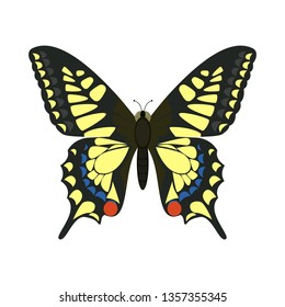 Papilio machaon butterfly. Isolated vector illustration