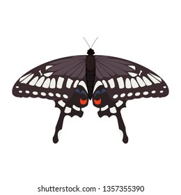 Papilio machaon butterfly. Isolated vector illustration