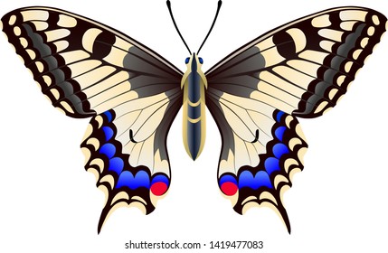 Papilio machaon butterfly vector image for web design and print