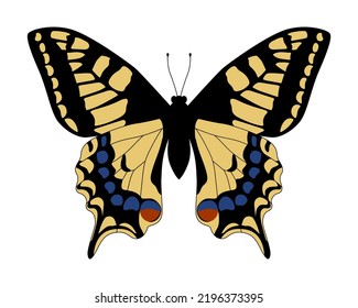 Papilio Machaon. Handgezeichnete Vektorgrafik. Farbiger Schmetterling.