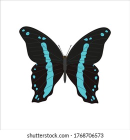 Papilio-Nireus-Schmetterling Illustration für Web- und Mobile-Design.