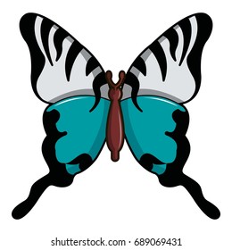 Papilio palinurus butterfly icon. Cartoon illustration of papilio palinurus butterfly vector icon for web design