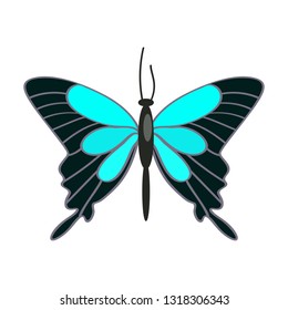 Papilio ulysses butterfly isolated vector. Tropical butterfly, hobby collection, lepidoptera. Insects concept. Vector can be used for topics like nature, biology, fauna