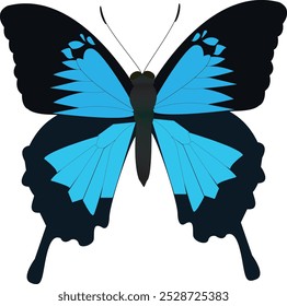 Papilio ulysses ist ein großer Schwalbenschwanz-Schmetterling der Untergattung Achillides aus Australien, Indonesien, Papua-Neuguinea und den Salomonen. 