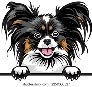 Papillion Color Peeking Dogs. Color image of a dogs head isolated on a white background. Dog portrait, Vector illustration