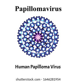 Papilloma Human Virus Structure Papilloma Virus Stock Vector (Royalty ...